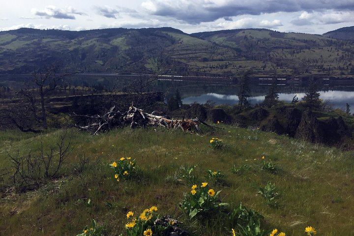 Full-day Columbia Gorge Hiking - Photo 1 of 25
